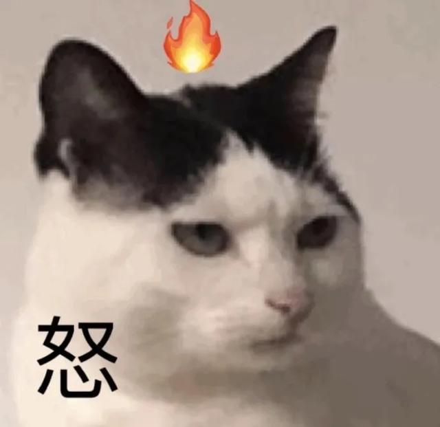 英雄联盟情侣id，好听的英雄联盟情侣名字（盘点在英雄联盟里遇见过的有点东西的ID）