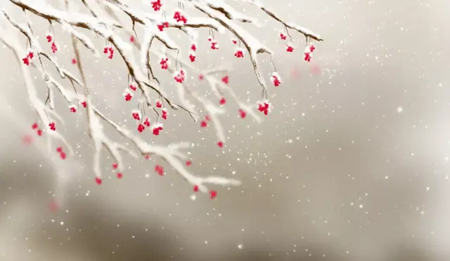 近寒食雨草萋萋原文及翻译，近寒食雨草萋萋全诗翻译（十首“无名氏”诗词）