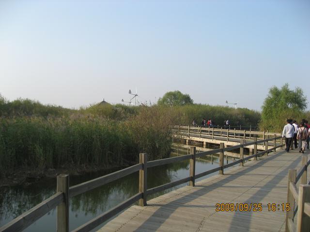 黄河入海口在哪个城市，黄河入海口在哪里（但你见过黄河入海口吗）