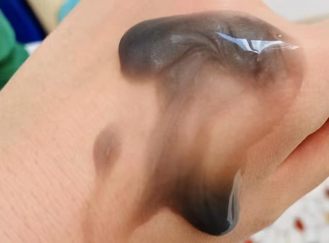 夏士莲洗发水怎么样，圣妃莉洗发水怎么样（都是70、80后的回忆）