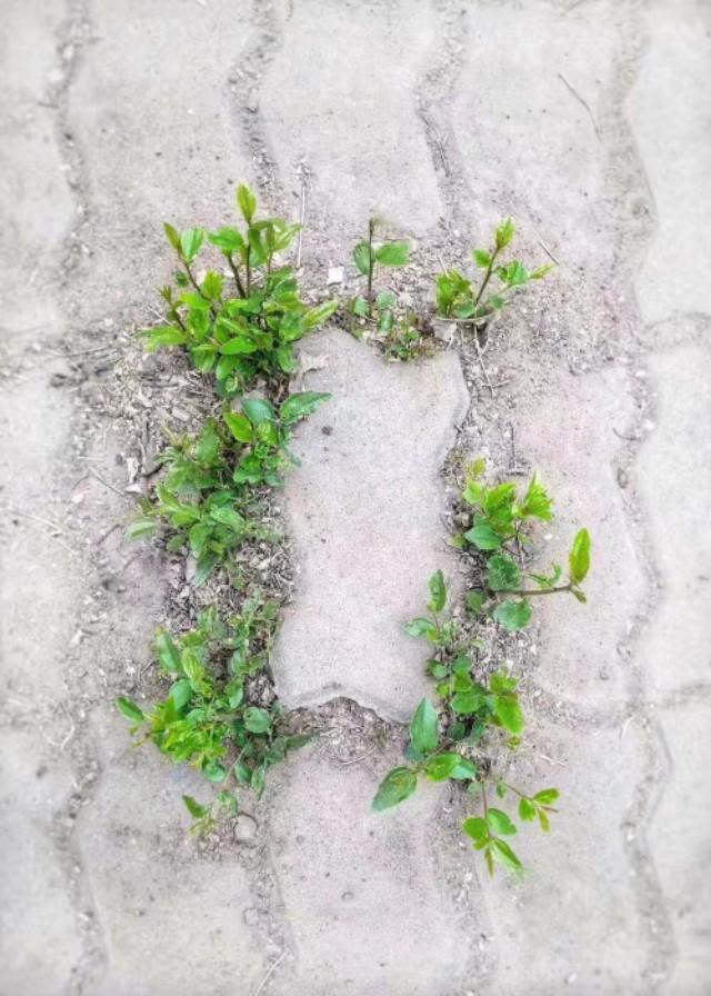 排球基本技术传球，如何在排球场上显得很厉害