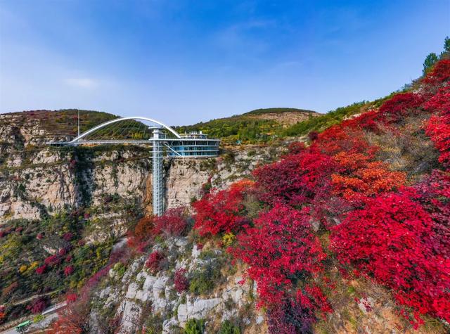 满山红叶似彩霞，阿宝歌曲大全（山东最全赏红叶地图来了）