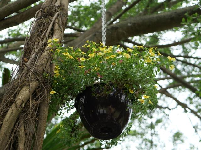 如何评价松下的GX9，松下gx9和gx10（让所见即所得：松下LUMIX）