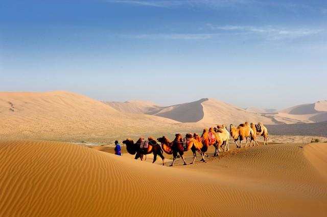 暑假适合带孩子旅游的地方有哪些？推荐8个凉爽的景点