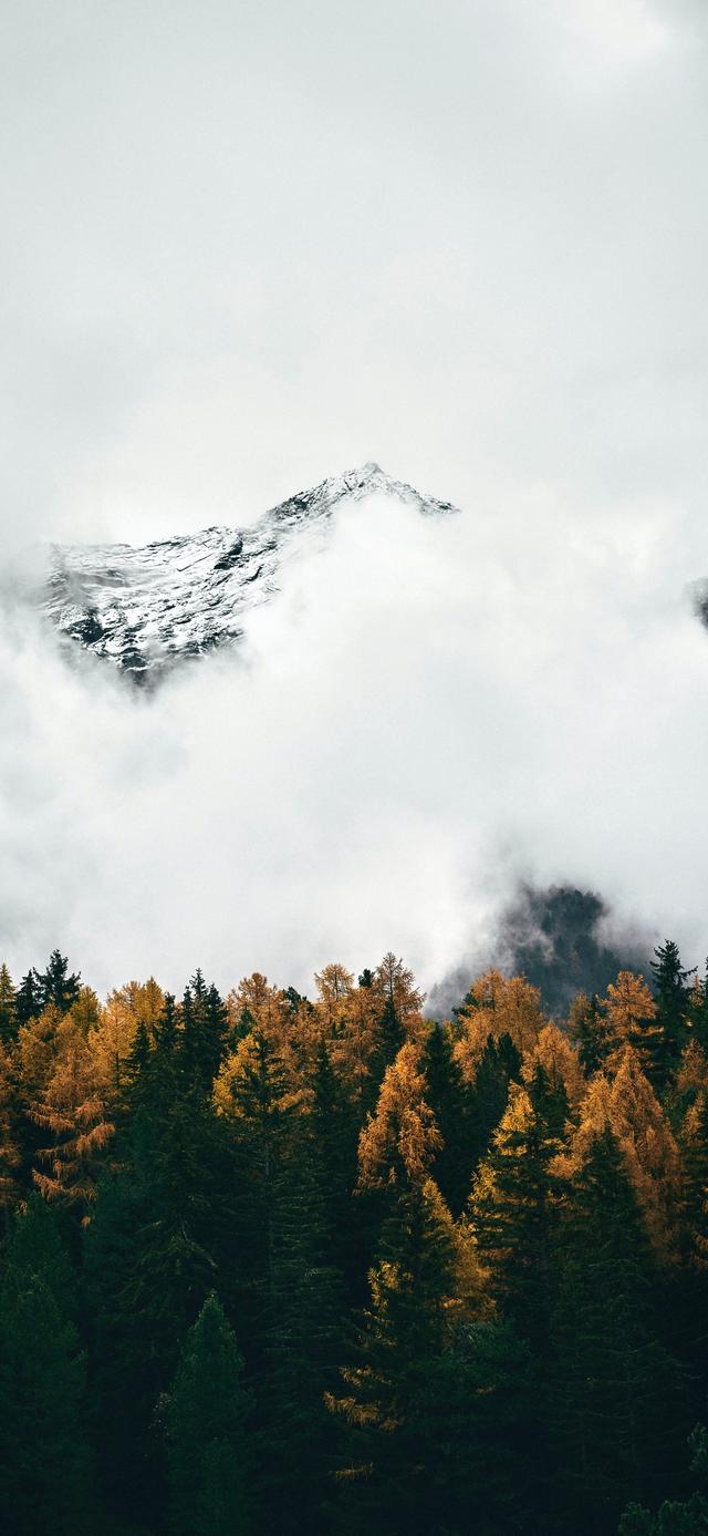 好看壁纸，好看壁纸ins（好看又温柔的壁纸<212>图片）