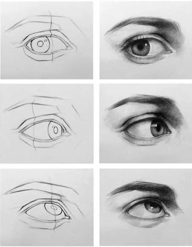 五官有哪些，人的五官准确是哪五官（动漫人物五官的详细画法）