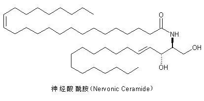 额头出油厉害的原因，额头容易出油的原因有哪些如何改善额头出油（出油是因为缺水）