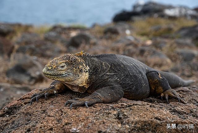 厄瓜多尔在哪里，厄尔多瓜具体在哪里（走进厄瓜多尔——世界上唯一以“赤道”命名的国家）