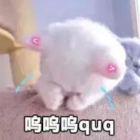 行测和申论各多少分，申论裸考55分什么水平（国考行测80分，申论40分）