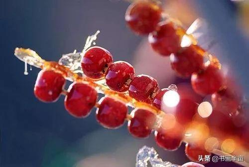 古代贺岁祝福语，古代贺岁祝福语简短（正月初二，诗词送祝福）