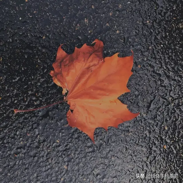 轻颜相机最新版本下载2022免费，轻颜相机免费下载安装（直接抄作业谁修都好看）