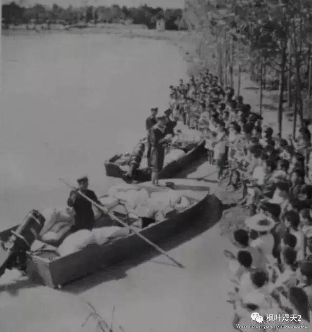 河南板桥溃坝事件，板桥水库758事件（板桥水库溃坝人为事件原因）