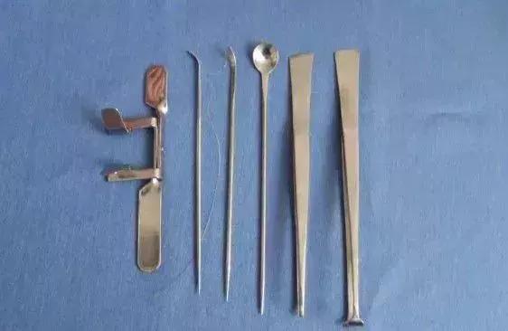 鸡子是什么，这个高薪行业即将消失（鸡子是什么器官）