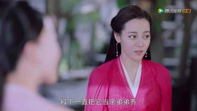 息泽就是东华吗，三生三世枕上书小说中在阿兰若之梦中凤九是否知道（剧情67,阿兰若版本小白几乎接不住）