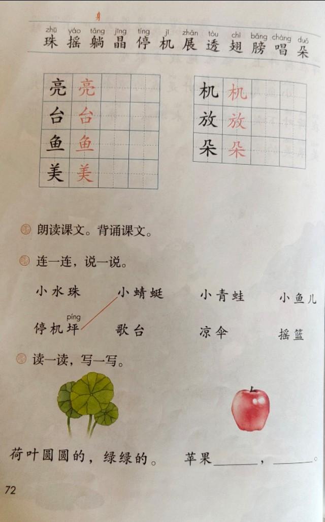 飞字组词有哪些，飞字组词（小学一年级语文下册课文13《荷叶圆圆》知识点）