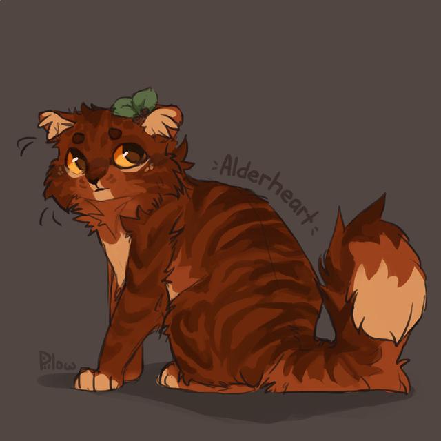 猫咪头像微信，猫咪头像（哪只像你的小可爱）