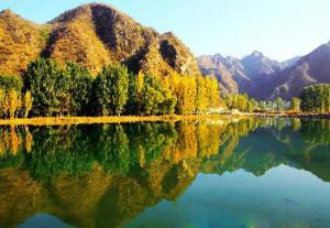 原神星银矿石位置，原神星银矿石位置在哪（中国城市纵览——河北省保定市）