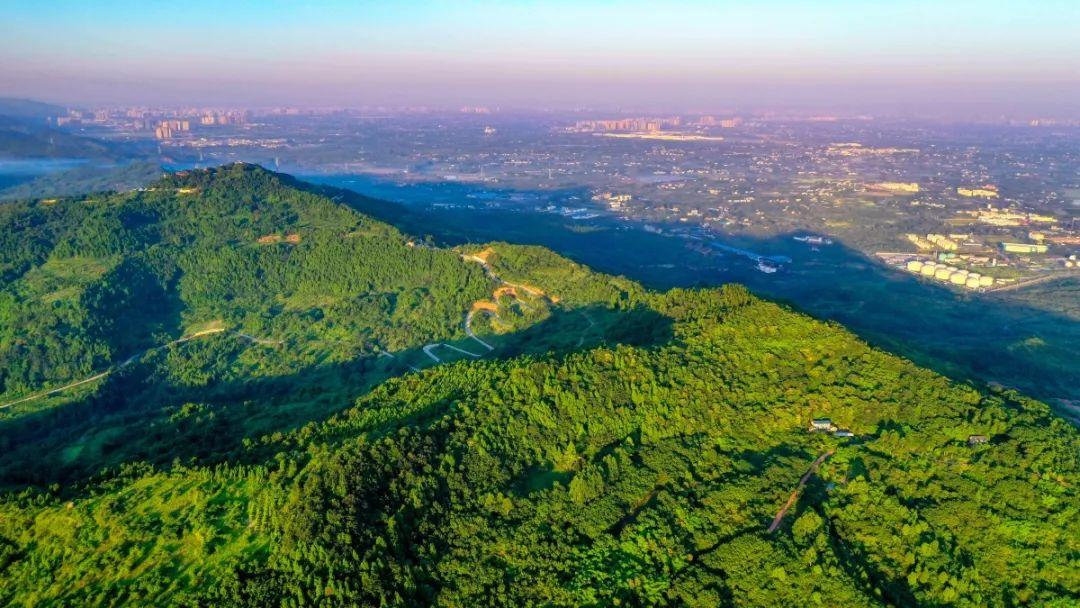 山中无岁月世上已千年，在青白江邂逅龙泉山的清晨