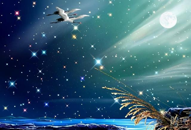 人生路漫漫其修远兮的意思，路漫漫其修远兮的意思是什么（李清照的一首“路漫漫其修远兮）