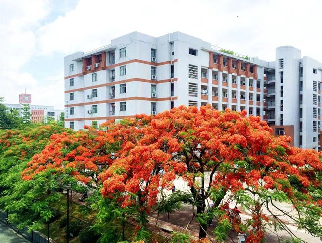 广州康大职业学院，广州康大职业技术学院在青海招生人数、录取分数线、位次[2022招生计划]（广东大学巡礼-广州康大职业技术学院）