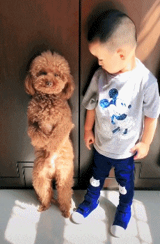 梦见自己穿裙子，梦见自己穿裙子是怎么回事（老婆第一次穿裙子坐公交吓得身后的小哥连连后退）