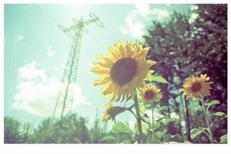 四川师范大学就业信息网（盘点四川6所毕业薪资较高的大学）