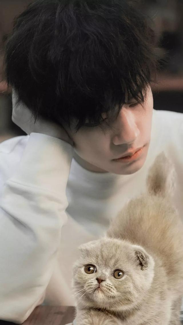 王俊凯高清壁纸，王俊凯高清壁纸图片（珍藏高清：你们要的王俊凯壁纸）