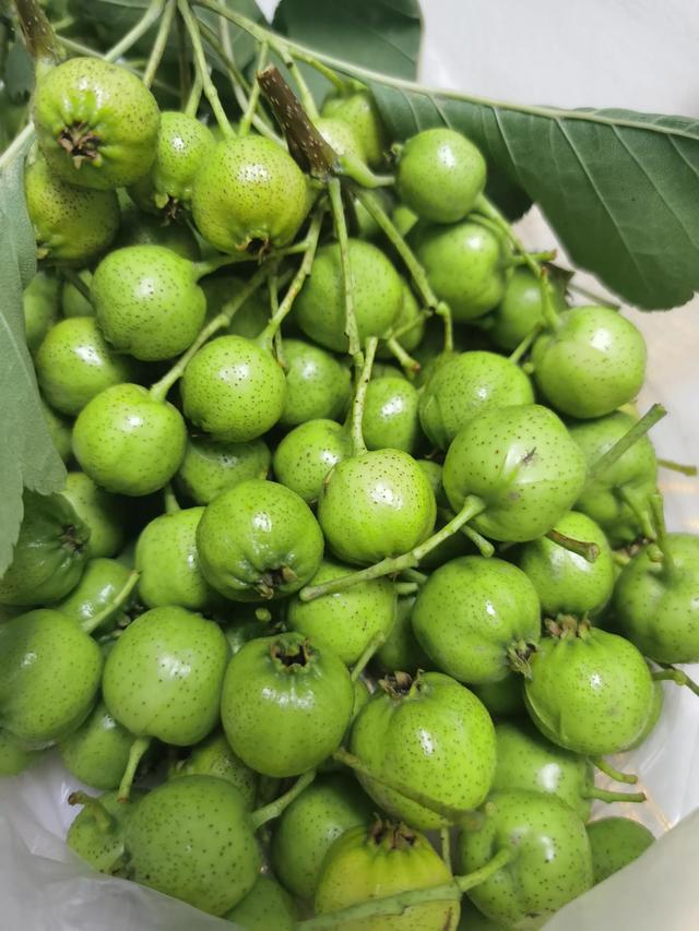 山楂核手串怎么清理果肉，山楂核什么时候采摘不分瓣（<五福籽菩提>手串制作过程）