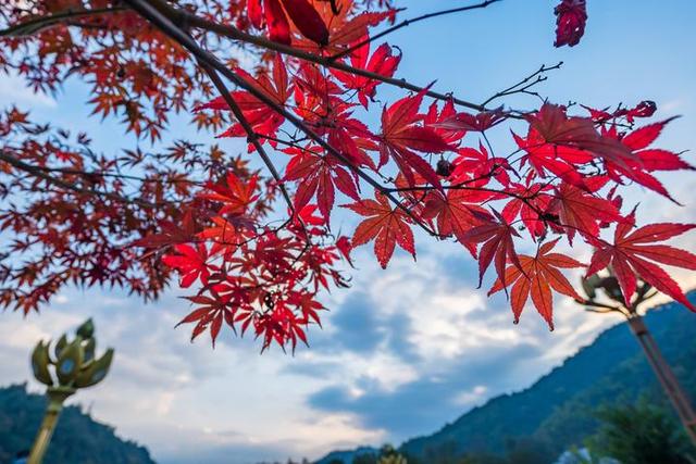 梵净山在哪里呢，梵净山在哪里个省哪个市（北半球最古老的生态乐园）