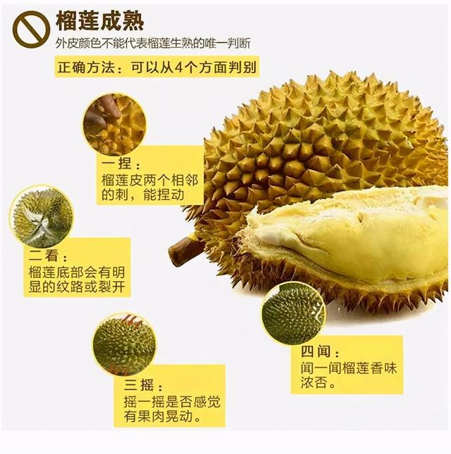 榴莲有几个品种，榴莲的品种有几种（五种常见榴莲品种）