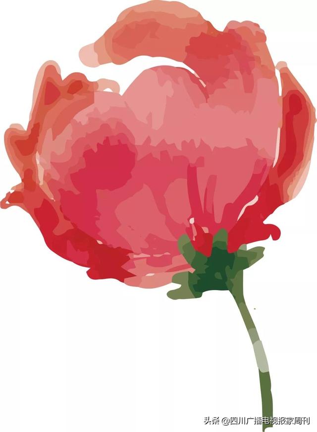 耙耙柑什么人不能吃，耙耙柑不能吃吗（好吃还不上火）