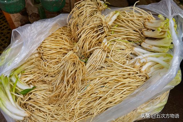 小葱和大葱的区别，小葱和大葱的区别有哪些（国内葱属蔬菜大全，你认识几个）