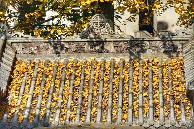 韶关云门寺，韶关云门寺图片（韶关这座色彩斑斓的古寺现在去正好）