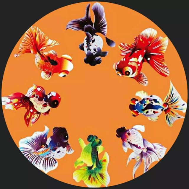 全屏手机壁纸，苹果手机动态壁纸下载 免费 全屏（36张精美无字迹图片）