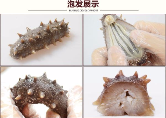 干海参如何保存，干海参存放怎么保存（保存时需要注意什么）