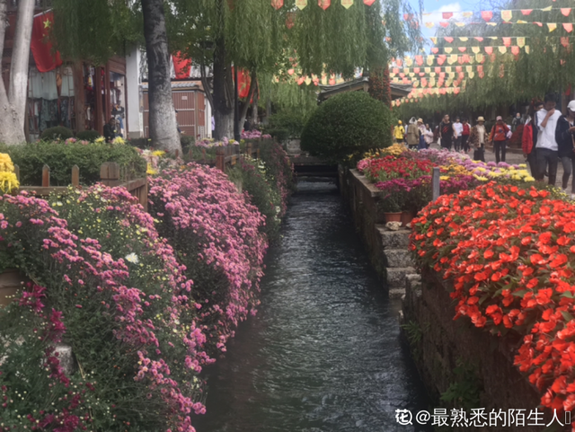 荷花有几种颜色，莲花有几种颜色分别是象征什么（1盆菊花售价1.2万）