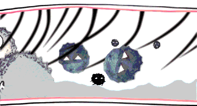 鼻毛长怎么办，鼻头长毛是怎么回事（多数人都剪掉或者拔掉）