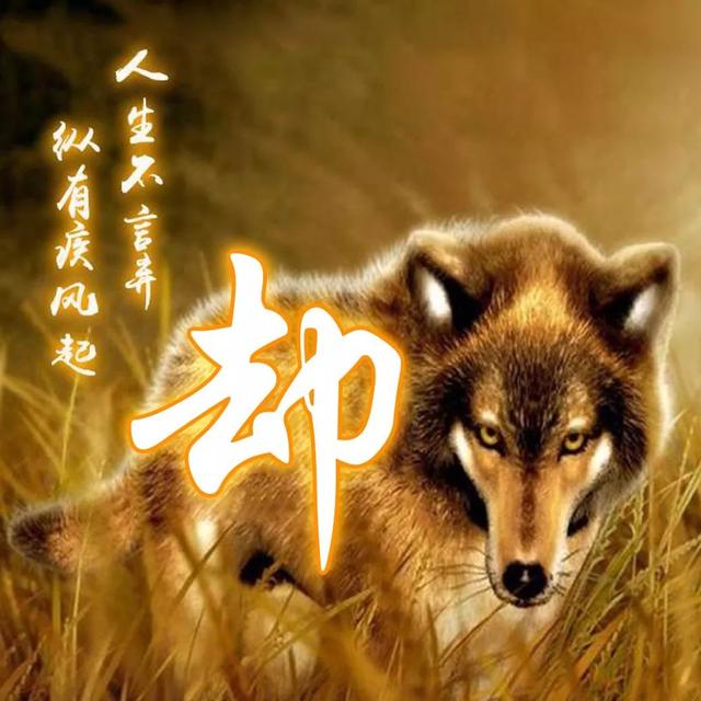 狼图片头像 凶猛 霸气 冷酷，100张姓氏霸气狼头像（100张“血性狼”姓氏头像、送给在困境中坚持梦想的你）