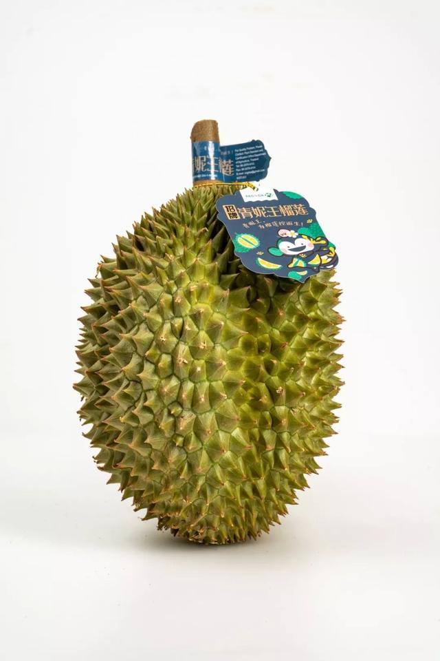 榴莲有几个品种，榴莲的品种有几种（五种常见榴莲品种）