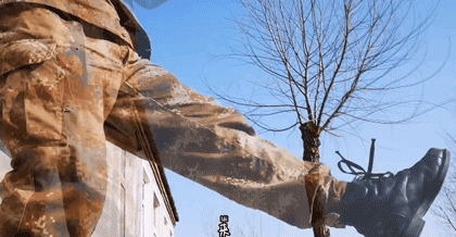 狸花猫是土猫吗，狸猫是土猫吗（那些年嘲笑狸花是小土猫的人）