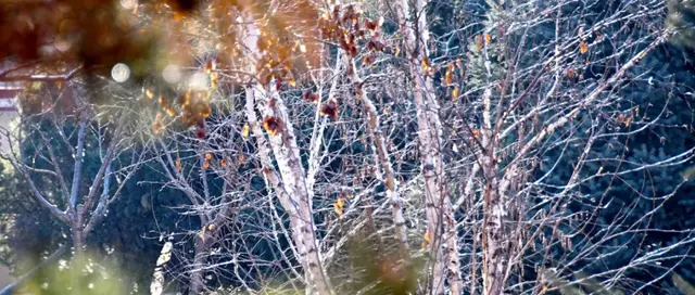 河北承德石油高等专科学校，承德石油高等专科学校2019年招生章程（想见你，我们美丽的承油）