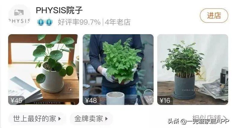 淘宝网花店(淘宝商城花卉市场)