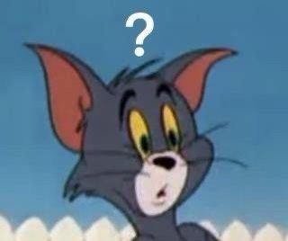 表情包/  汤姆 满脸问号，破产姐妹问号脸表情包（《猫和老鼠》汤姆猫问号表情包合集图片）