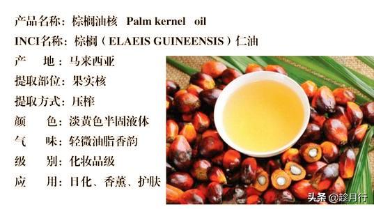 芥花油的优点和缺点，芥花油的功效与作用（棕榈油、红棕榈油、棕榈核油该选谁）