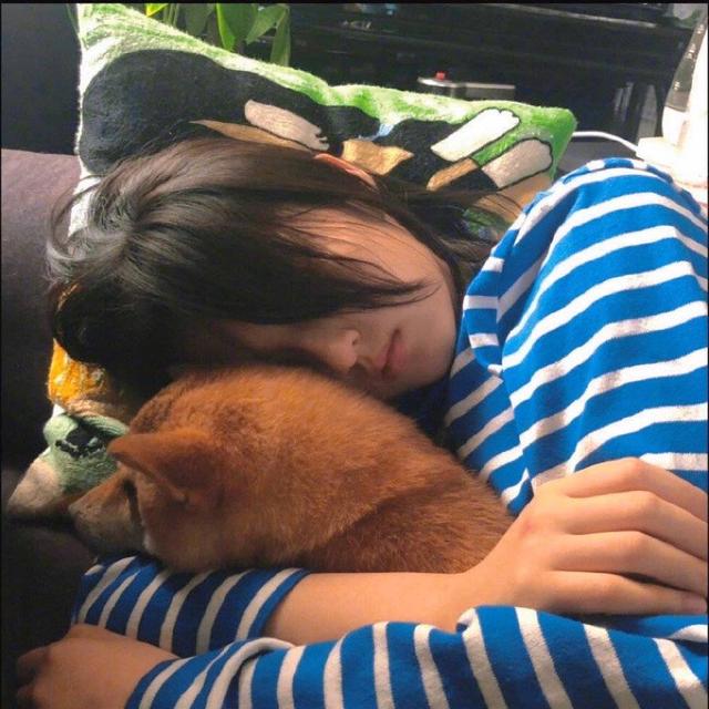 张子枫，微信头像，张子枫（张子枫头像）