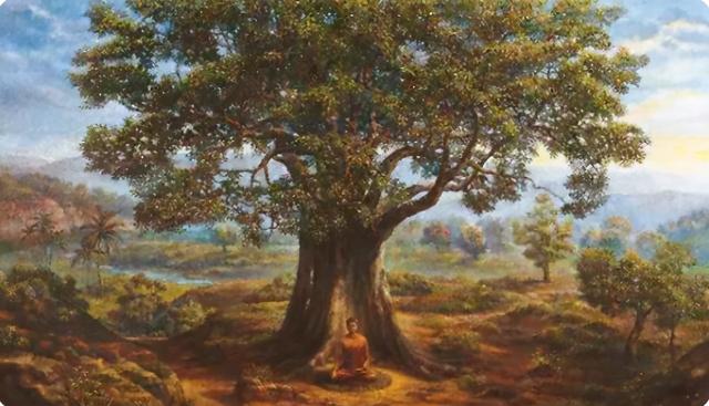 铜价格今日最新铜价行情，现在的铜价多少钱一斤？？（一年中哪个月最容易涨价）