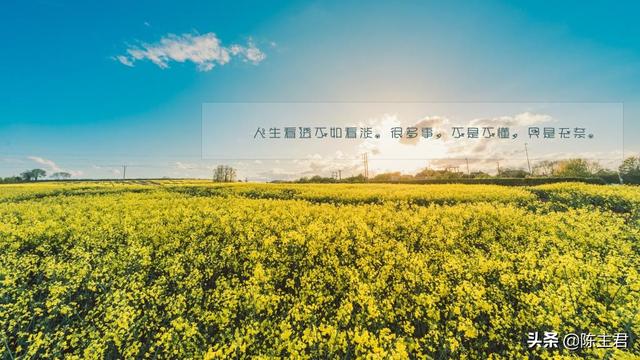 表达心累又无奈的说说，压抑憋屈的心情说说（伤感心累无奈的说说）