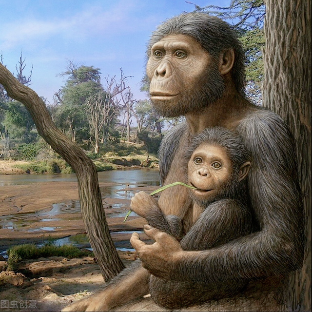 古猿进化人类的原因,古猿从猴到人的关键一步是什么