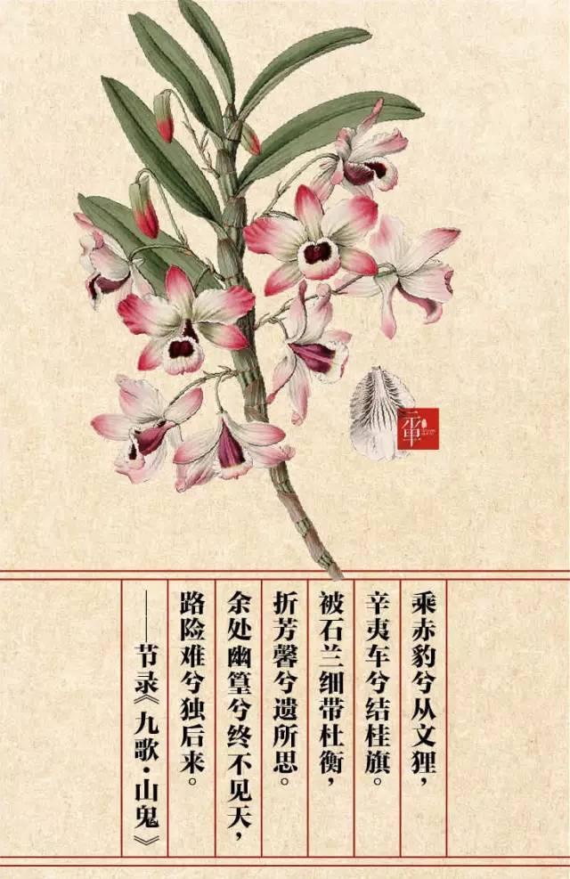 木兰科的常见地被植物有哪些，常绿木兰科植物有哪些（收藏起来留给孩子慢慢看）