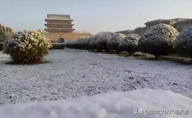 0935是哪的区号,095是哪个地方的区号(这是我2019年最新简历) 0935是哪的区号,095是哪个地方的区号(这是我2019年最新简历)